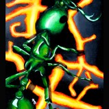 "The Ant," Lala's first acrylic painting.